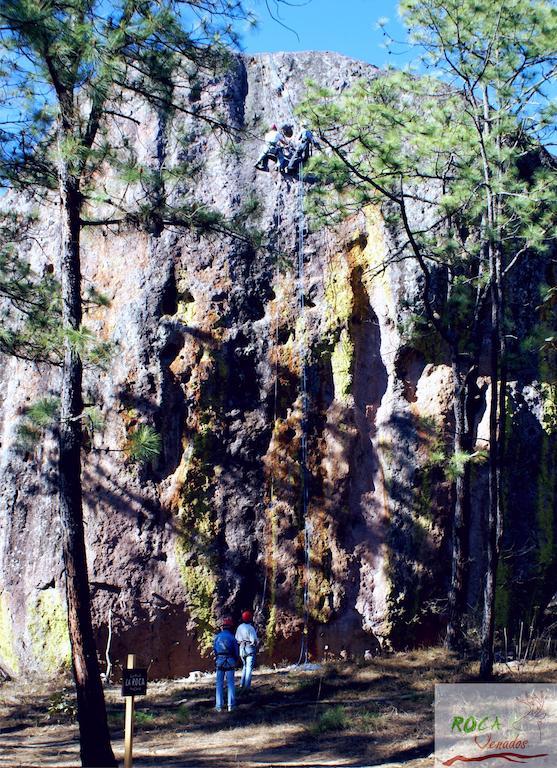マスコタ Rocavenadosヴィラ エクステリア 写真