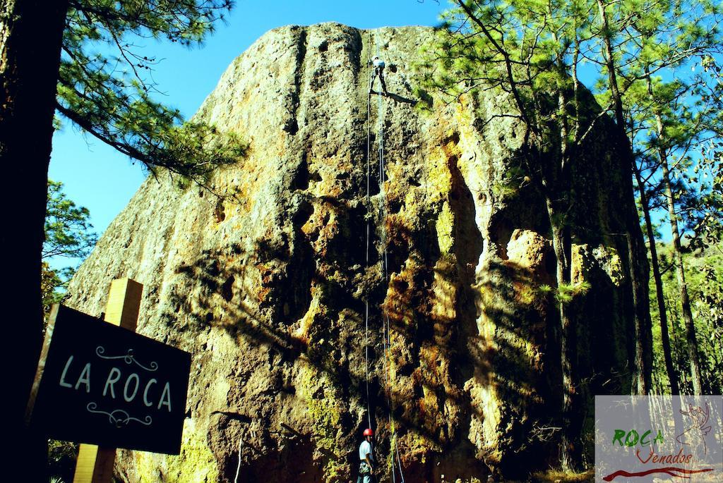マスコタ Rocavenadosヴィラ エクステリア 写真